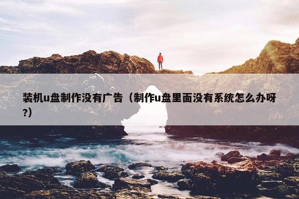 装机u盘制作没有广告（制作u盘里面没有系统怎么办呀?）