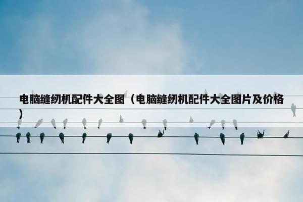 电脑缝纫机配件大全图（电脑缝纫机配件大全图片及价格）