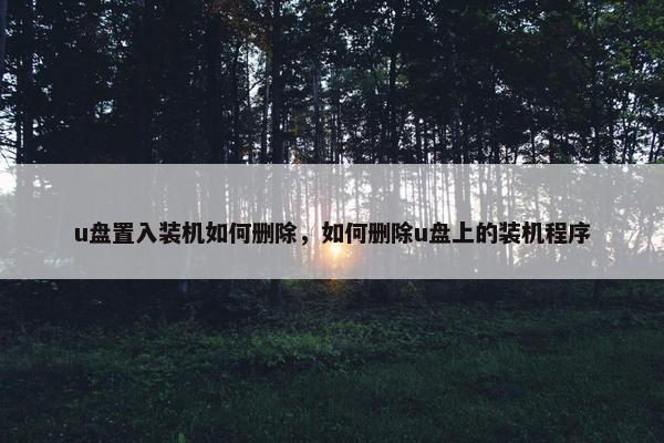 u盘置入装机如何删除，如何删除u盘上的装机程序