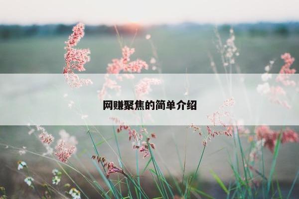 网赚聚焦的简单介绍