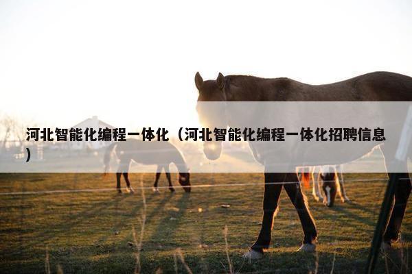 河北智能化编程一体化（河北智能化编程一体化招聘信息）