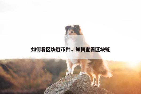 如何看区块链币种，如何查看区块链