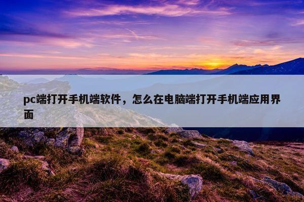 pc端打开手机端软件，怎么在电脑端打开手机端应用界面