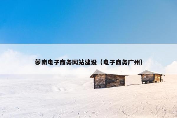 萝岗电子商务网站建设（电子商务广州）