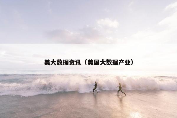 美大数据资讯（美国大数据产业）