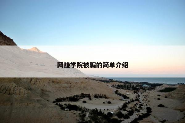 网赚学院被骗的简单介绍