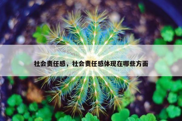 社会责任感，社会责任感体现在哪些方面