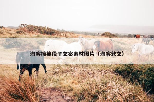 淘客搞笑段子文案素材图片（淘客软文）