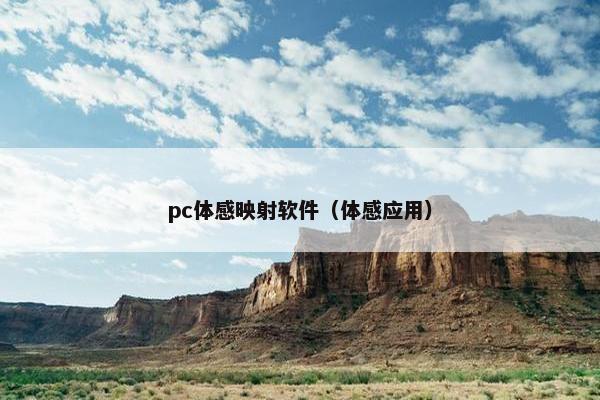 pc体感映射软件（体感应用）