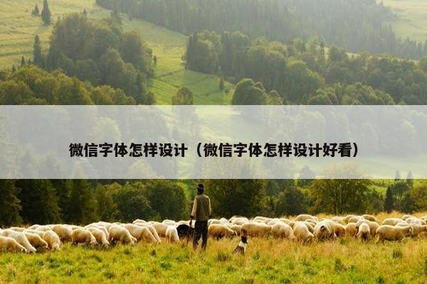 微信字体怎样设计（微信字体怎样设计好看）