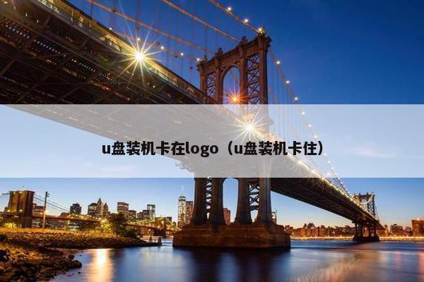 u盘装机卡在logo（u盘装机卡住）