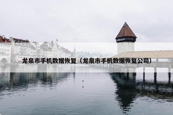 龙泉市手机数据恢复（龙泉市手机数据恢复公司）