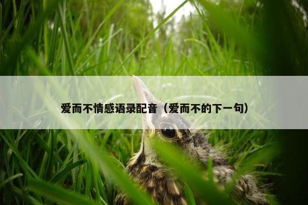 爱而不情感语录配音（爱而不的下一句）