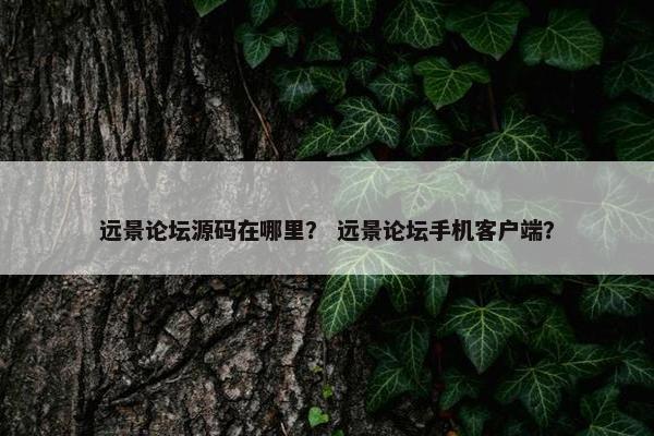 远景论坛源码在哪里？ 远景论坛手机客户端？