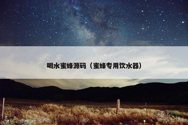 喝水蜜蜂源码（蜜蜂专用饮水器）