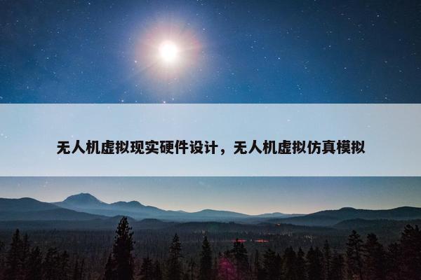 无人机虚拟现实硬件设计，无人机虚拟仿真模拟
