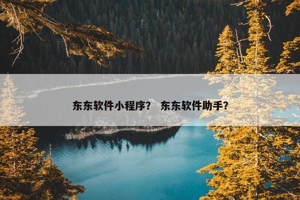 东东软件小程序？ 东东软件助手？
