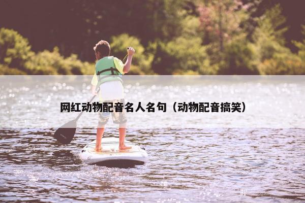 网红动物配音名人名句（动物配音搞笑）