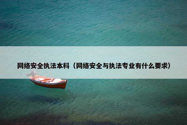 网络安全执法本科（网络安全与执法专业有什么要求）