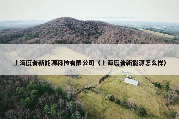 上海度普新能源科技有限公司（上海度普新能源怎么样）