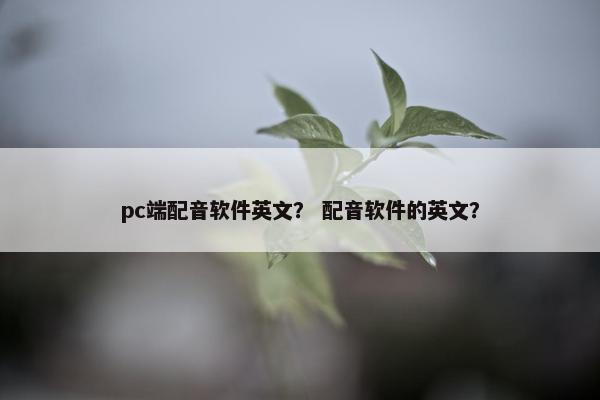 pc端配音软件英文？ 配音软件的英文？