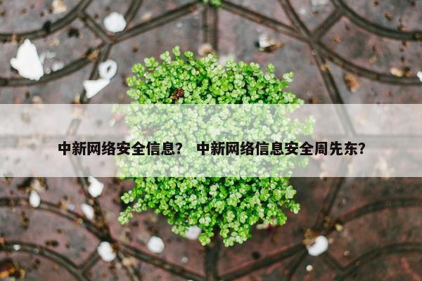 中新网络安全信息？ 中新网络信息安全周先东？