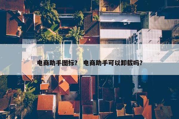 电商助手图标？ 电商助手可以卸载吗？