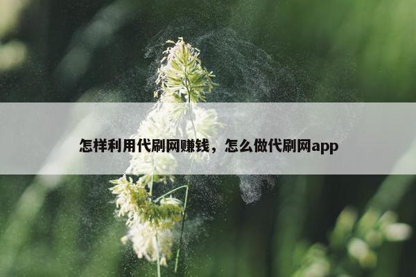怎样利用代刷网赚钱，怎么做代刷网app