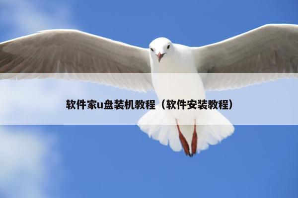 软件家u盘装机教程（软件安装教程）