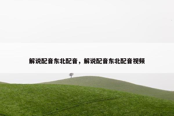 解说配音东北配音，解说配音东北配音视频