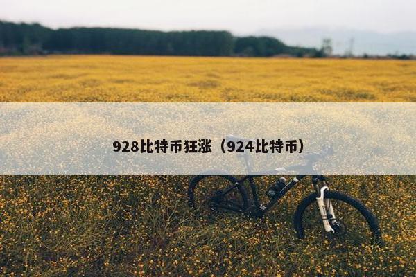 928比特币狂涨（924比特币）