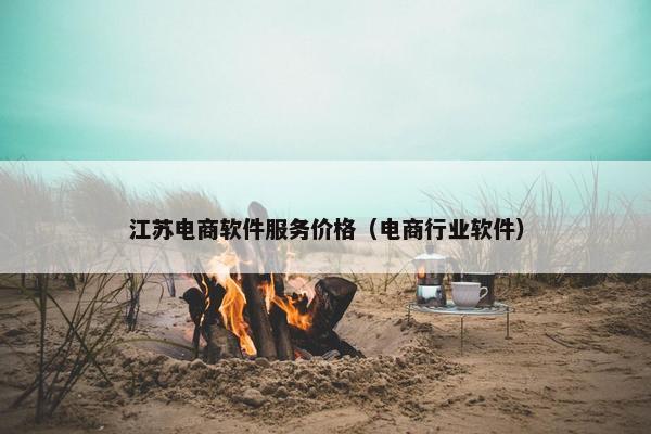江苏电商软件服务价格（电商行业软件）