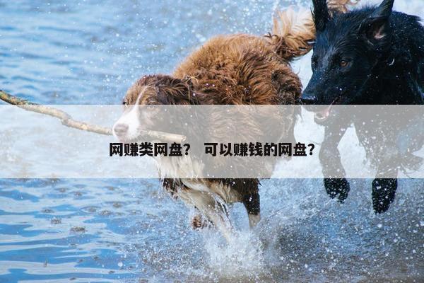网赚类网盘？ 可以赚钱的网盘？