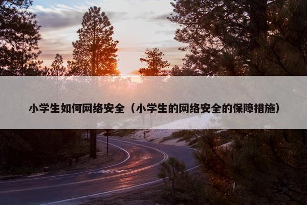 小学生如何网络安全（小学生的网络安全的保障措施）