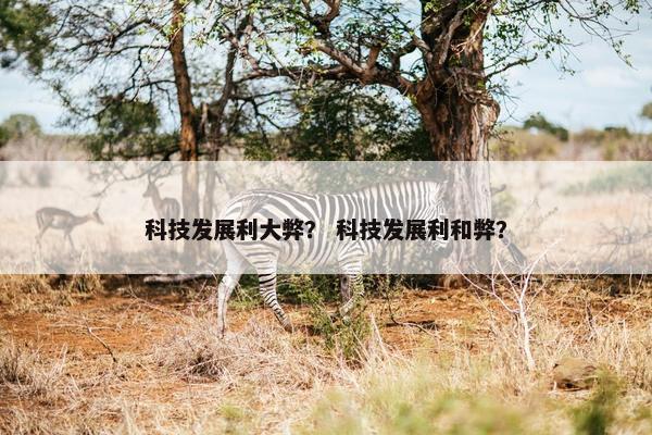 科技发展利大弊？ 科技发展利和弊？