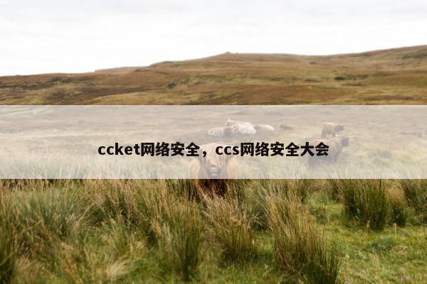ccket网络安全，ccs网络安全大会