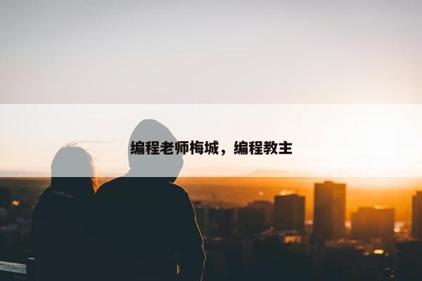 编程老师梅城，编程教主