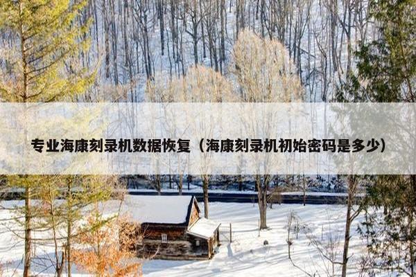 专业海康刻录机数据恢复（海康刻录机初始密码是多少）