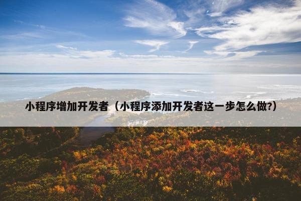 小程序增加开发者（小程序添加开发者这一步怎么做?）