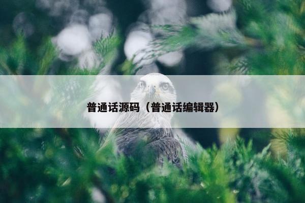 普通话源码（普通话编辑器）
