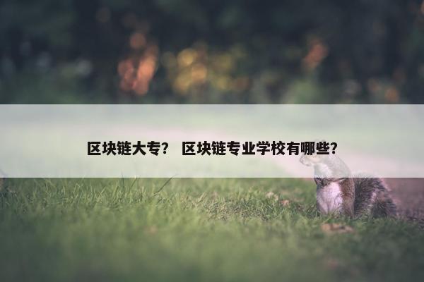 区块链大专？ 区块链专业学校有哪些？