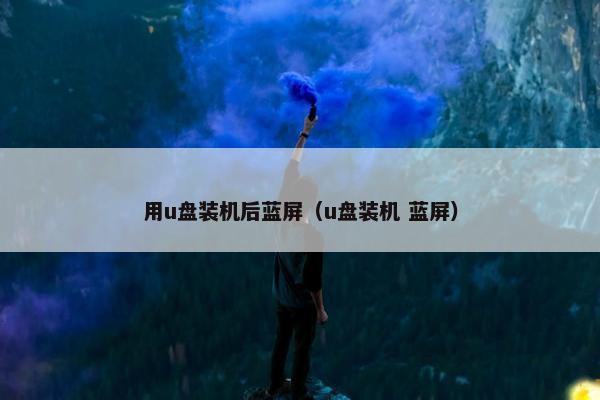 用u盘装机后蓝屏（u盘装机 蓝屏）