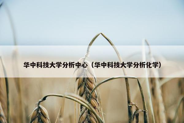 华中科技大学分析中心（华中科技大学分析化学）