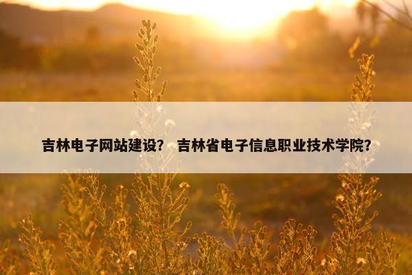 吉林电子网站建设？ 吉林省电子信息职业技术学院？