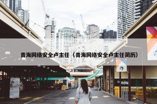 青海网络安全卢主任（青海网络安全卢主任简历）