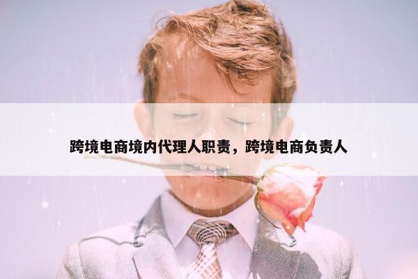 跨境电商境内代理人职责，跨境电商负责人