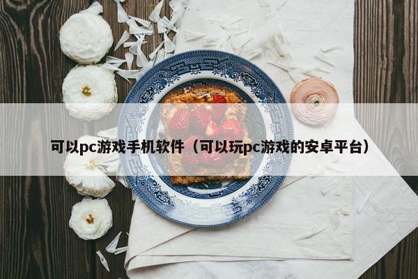 可以pc游戏手机软件（可以玩pc游戏的安卓平台）