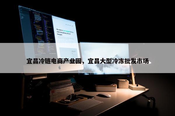 宜昌冷链电商产业园，宜昌大型冷冻批发市场