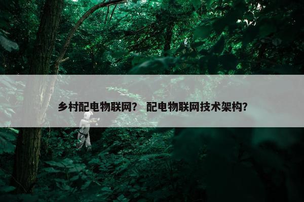 乡村配电物联网？ 配电物联网技术架构？