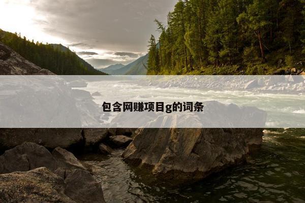 包含网赚项目g的词条